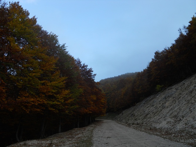 Pomeriggio A Campo Catino